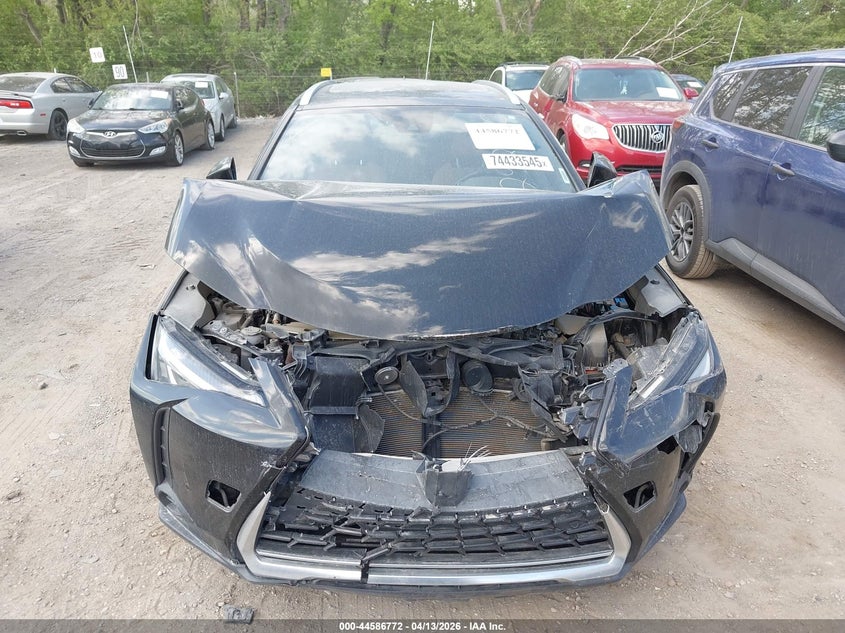 2021 Lexus Ux 250H VIN: JTHP9JBH6M2043697 Lot: 44586772
