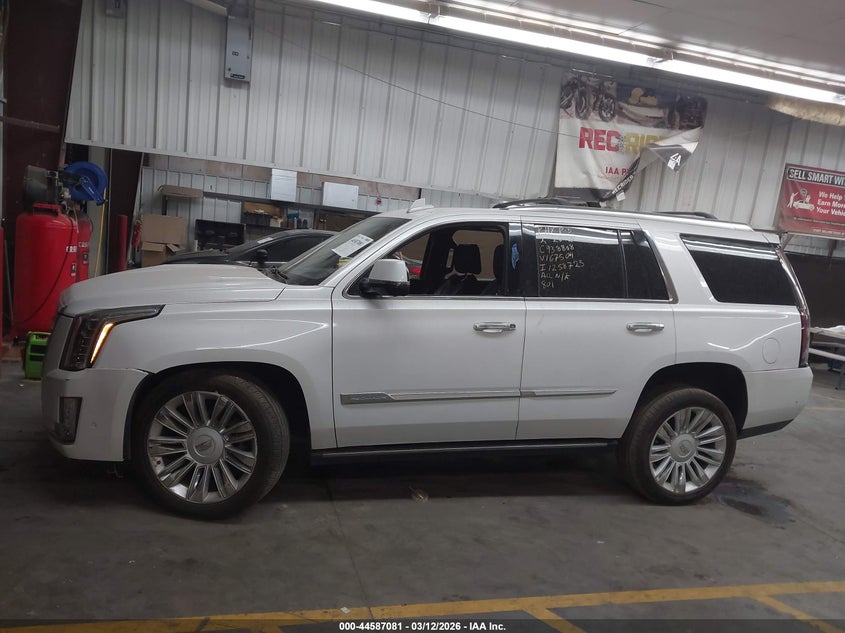 2017 Cadillac Escalade Platinum VIN: 1GYS4DKJ0HR167504 Lot: 44587081