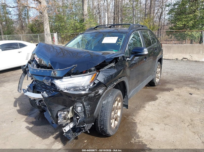 2024 Toyota Rav4 Hybrid Woodland Edition