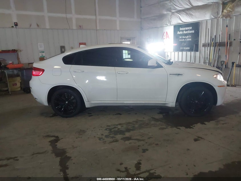 2010 BMW X6 M VIN: 5YMGZ0C56ALK13263 Lot: 44589900