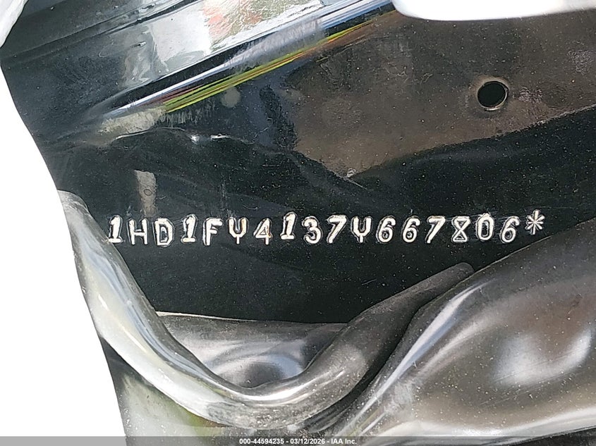 2007 Harley-Davidson Flhrs VIN: 1HD1FY4137Y667806 Lot: 44594235