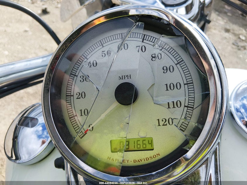 2007 Harley-Davidson Flhrs VIN: 1HD1FY4137Y667806 Lot: 44594235