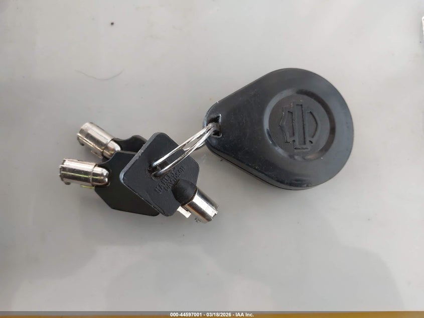 2020 Harley-Davidson Flhx VIN: 1HD1KBC13LB641231 Lot: 44597001