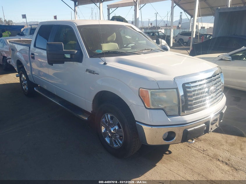 2010 Ford F-150 Fx4/Harley-Davidson/King Ranch/Lariat/Platinum/Xl/Xlt