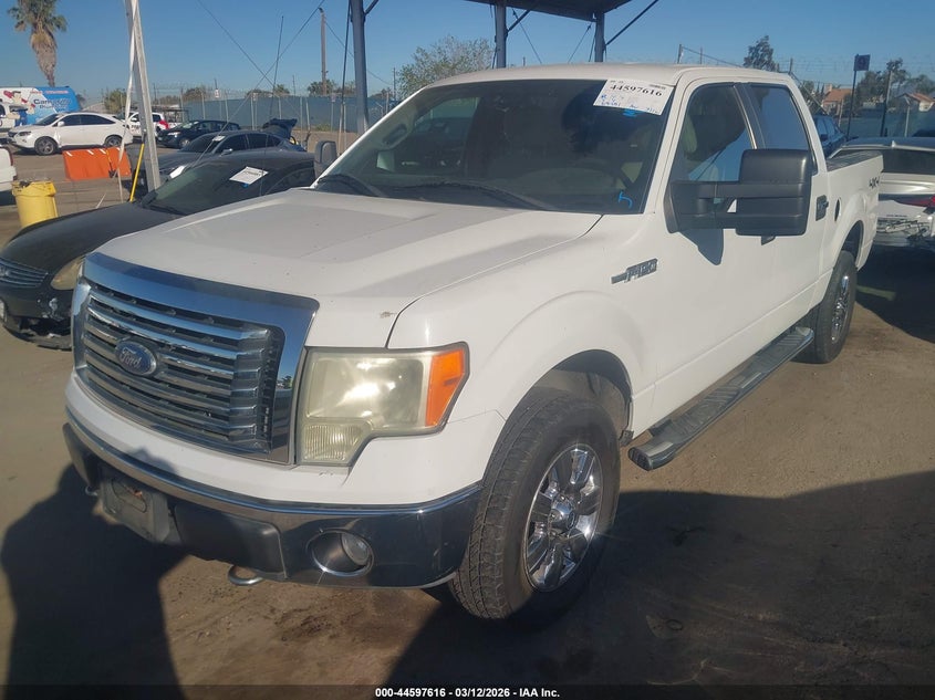 2010 Ford F-150 Fx4/Harley-Davidson/King Ranch/Lariat/Platinum/Xl/Xlt