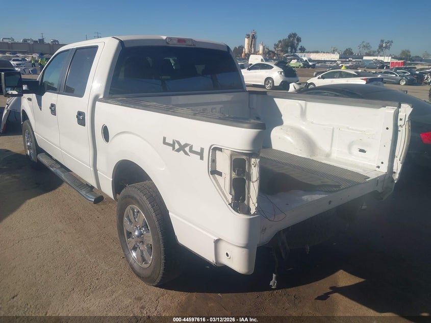 2010 Ford F-150 Fx4/Harley-Davidson/King Ranch/Lariat/Platinum/Xl/Xlt