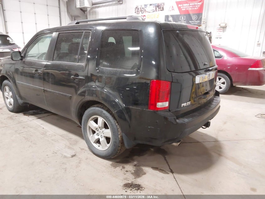 AtlanticExpress - Honda Pilot