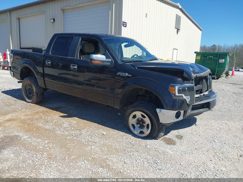 2013 Ford F-150 Xlt