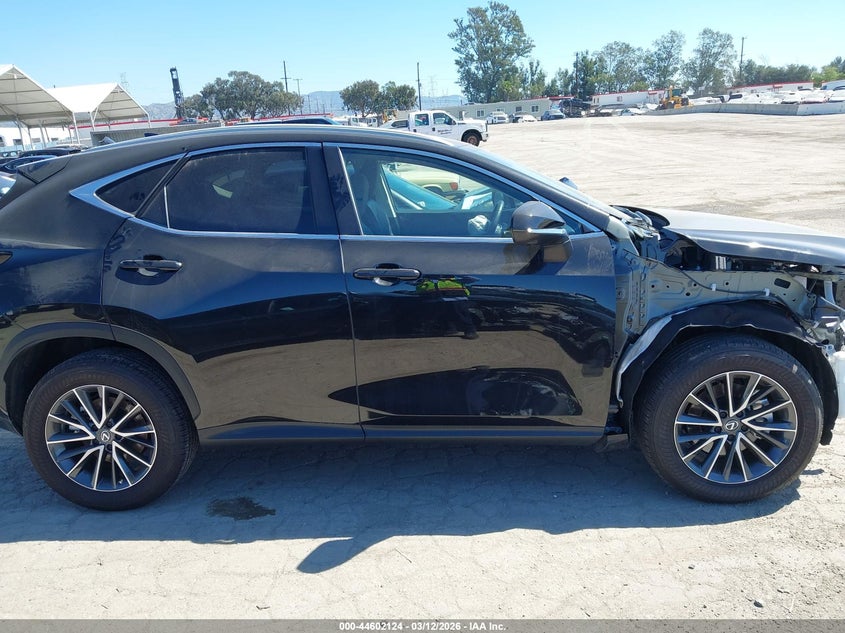 2024 Lexus Nx 350 Premium #13