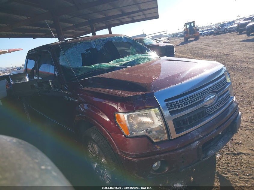 2009 Ford F-150 King Ranch/Lariat/Platinum/Xl/Xlt