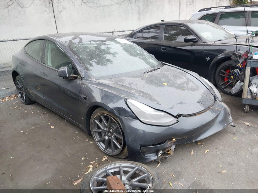 2023 Tesla Model 3 Rear-Wheel Drive