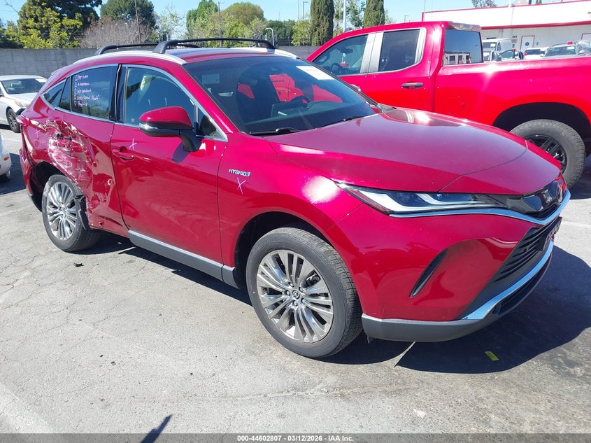 2021 TOYOTA VENZA XLE