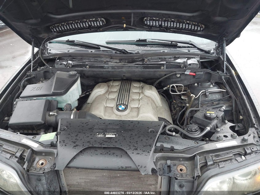 2005 BMW X5 4.4I VIN: 5UXFB53555LV20384 Lot: 44603276