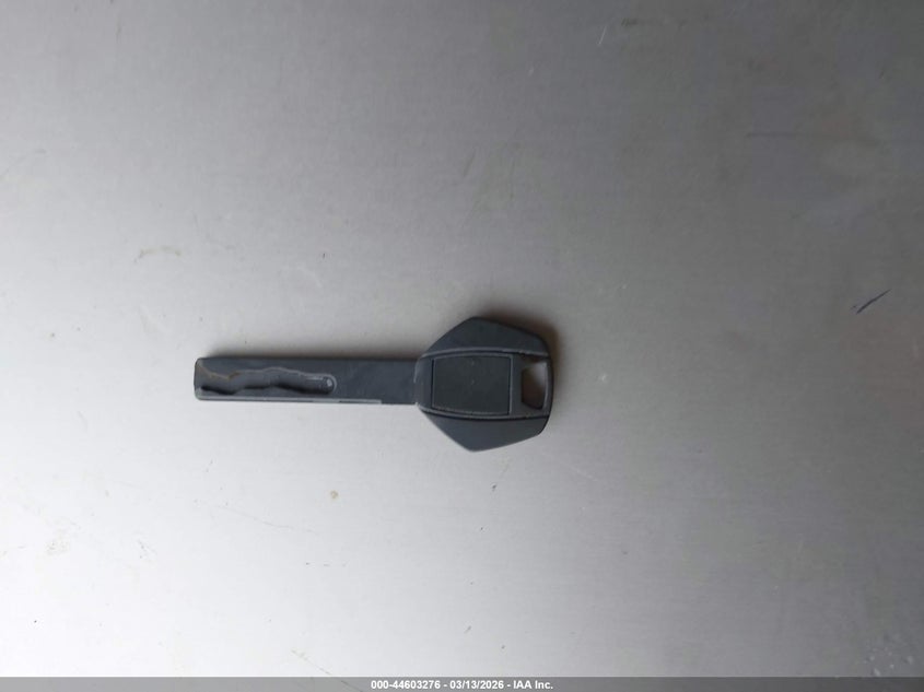 2005 BMW X5 4.4I VIN: 5UXFB53555LV20384 Lot: 44603276