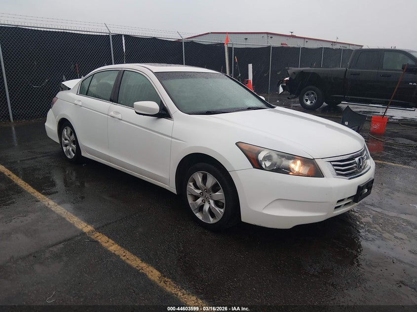 2010 Honda Accord Sdn 2.4 Ex-L/Ex-L