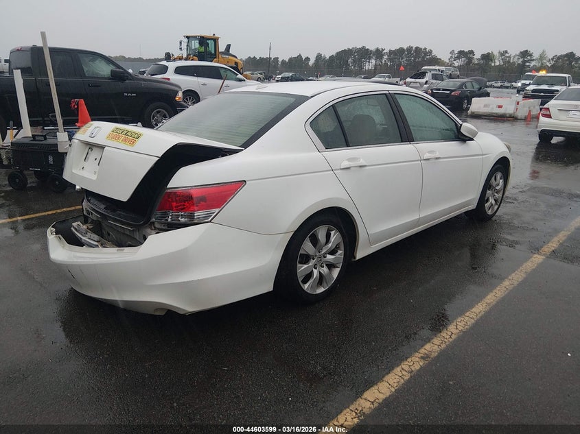 2010 Honda Accord Sdn 2.4 Ex-L/Ex-L