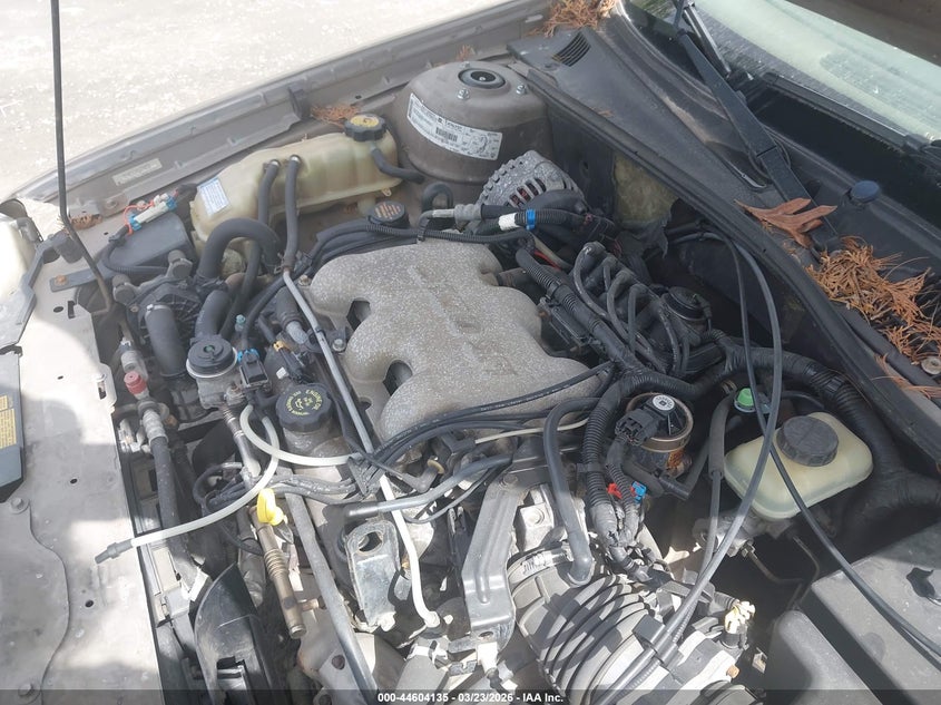 2000 Chevrolet Malibu VIN: 1G1ND52J7Y6234053 Lot: 44604135