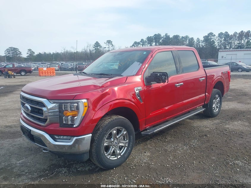 2021 Ford F-150 Xlt