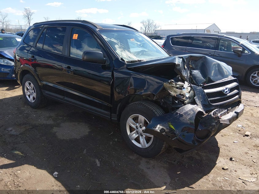 2009 Hyundai Santa Fe Gls