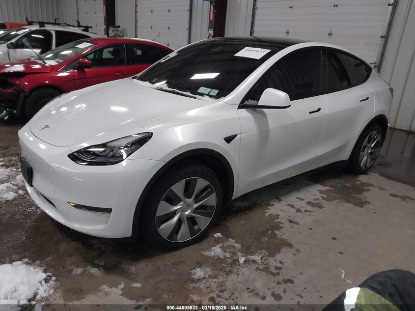 2023 TESLA MODEL Y ELECTRIC(VIN: 7SAYGDEE1PA098672