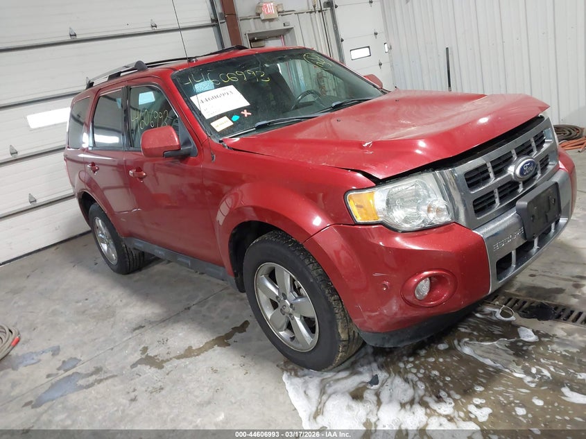 2010 Ford Escape Limited