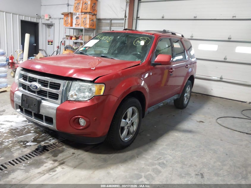 2010 Ford Escape Limited