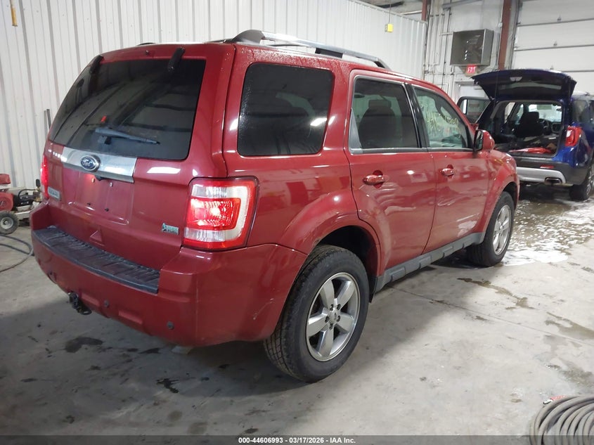 2010 Ford Escape Limited