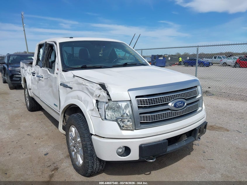 2011 Ford F-150 Platinum