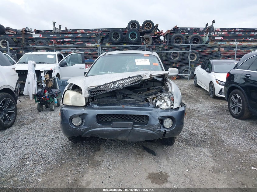 2002 Hyundai Santa Fe Gls/Lx VIN: KM8SC13DX2U318316 Lot: 44609507