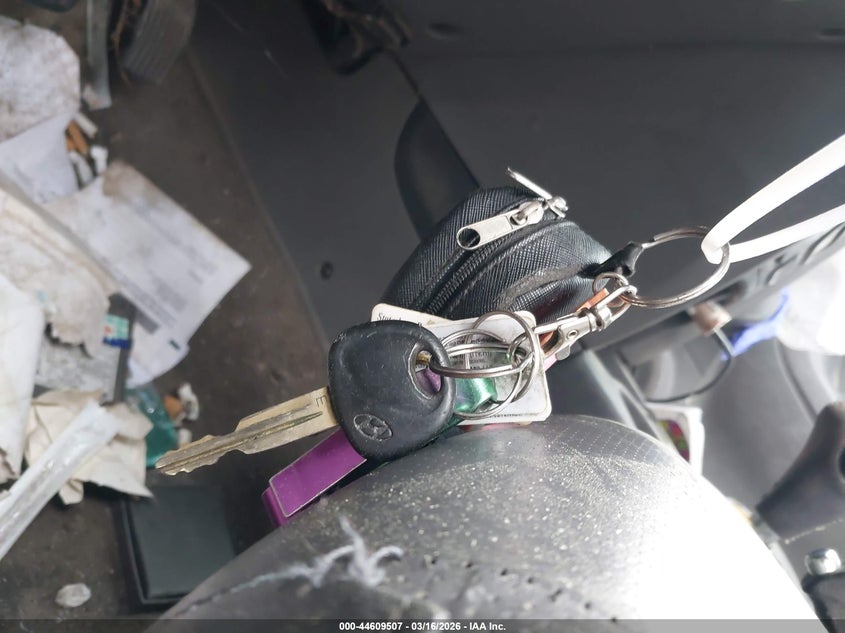 2002 Hyundai Santa Fe Gls/Lx VIN: KM8SC13DX2U318316 Lot: 44609507