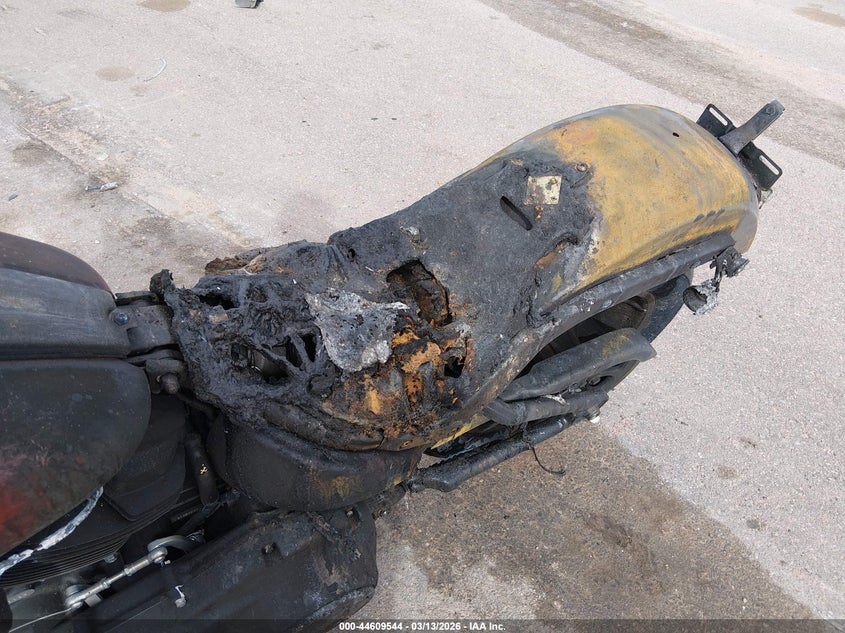 2024 Harley-Davidson Fxlrs VIN: 1HD1YWZ18RB021111 Lot: 44609544