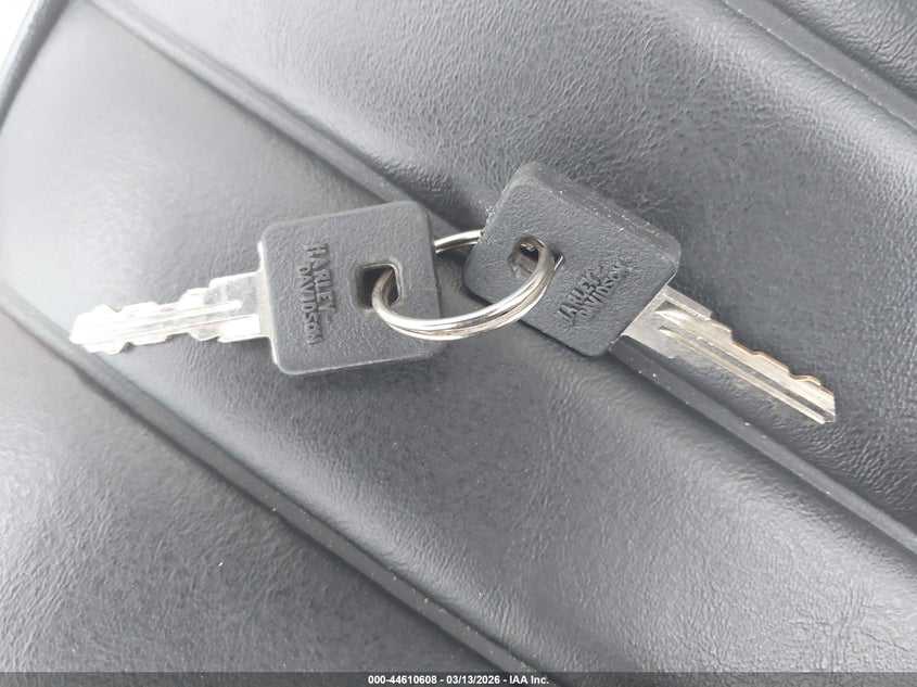 2022 Harley-Davidson Xl883 N VIN: 1HD4LE212NB409025 Lot: 44610608