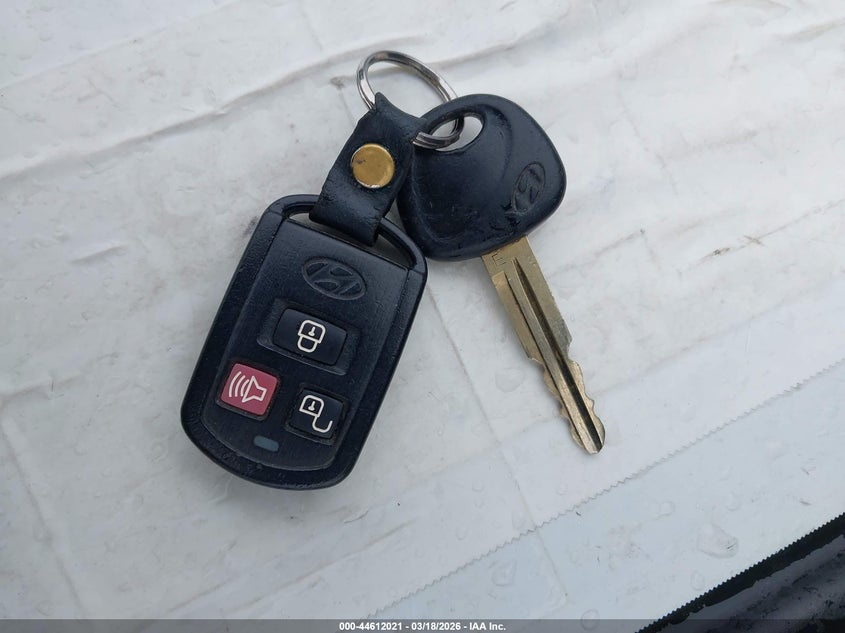 2004 Hyundai Santa Fe Gls VIN: KM8SC13D24U766228 Lot: 44612021