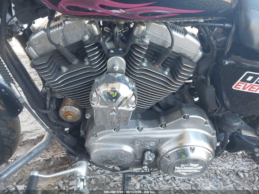 2013 Harley-Davidson Xl1200 Cp VIN: 1HD1LH318DC441604 Lot: 44613780