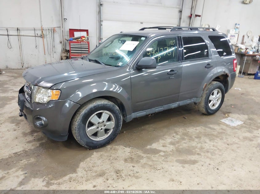 2011 Ford Escape Xlt