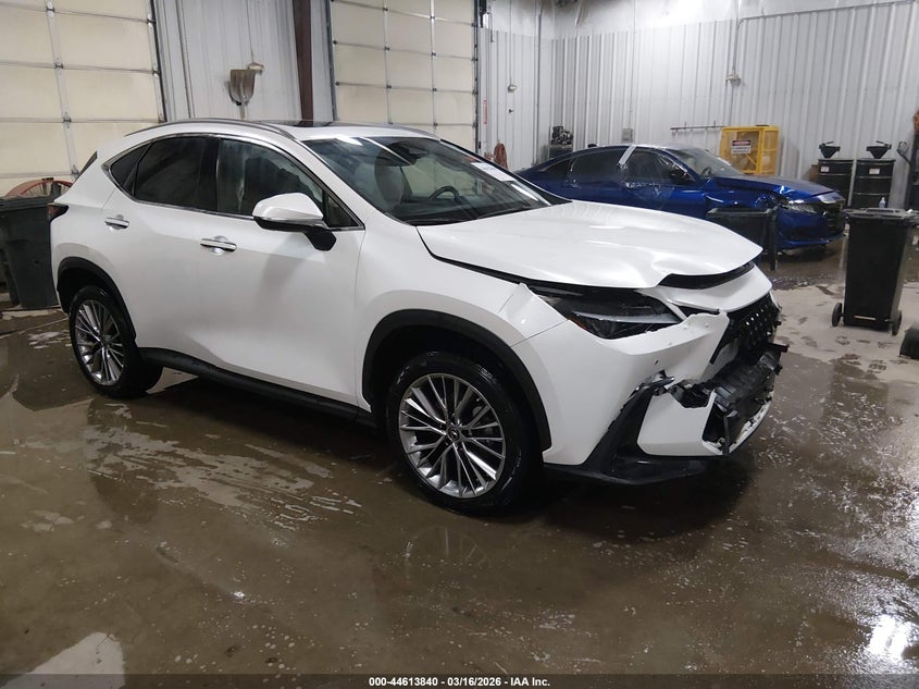 2022 LEXUS NX 350 auction photo 1