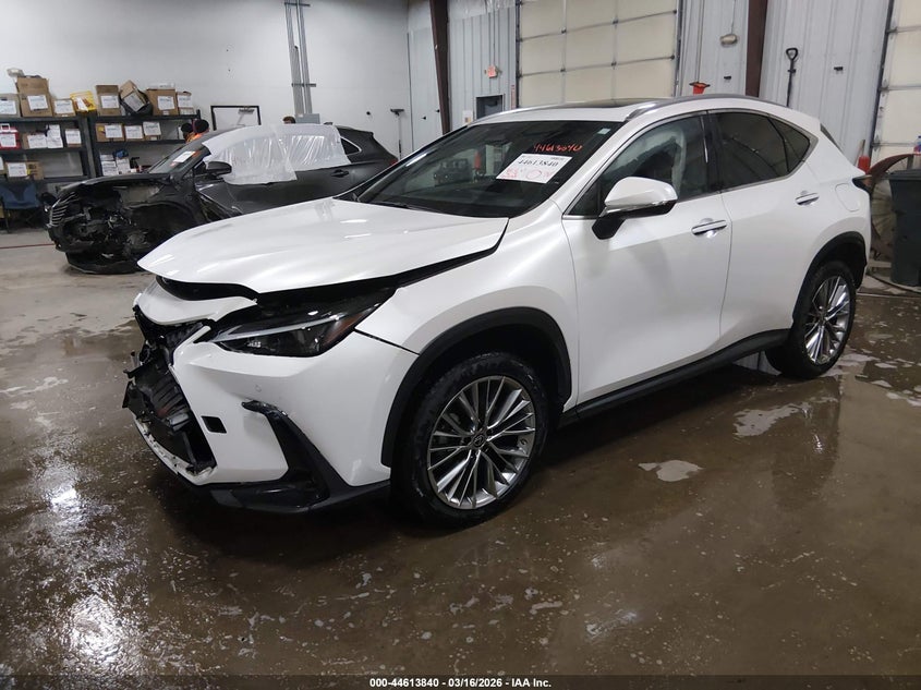 2022 LEXUS NX 350 auction photo 2