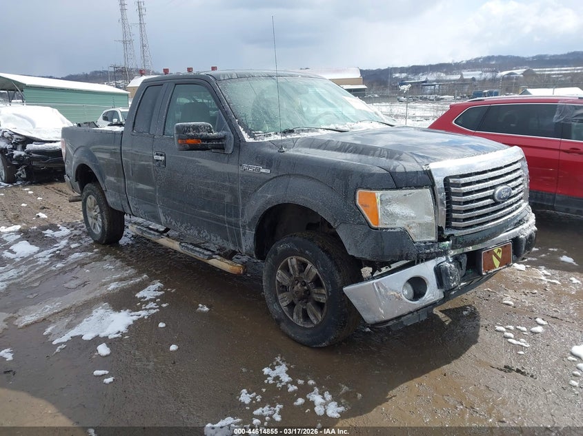 2010 Ford F-150 Fx4/Lariat/Xl/Xlt