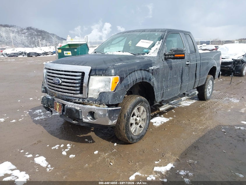 2010 Ford F-150 Fx4/Lariat/Xl/Xlt