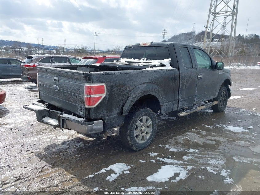 2010 Ford F-150 Fx4/Lariat/Xl/Xlt