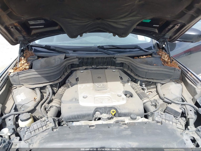 2010 Infiniti Ex35 Journey VIN: JN1AJ0HR8AM751834 Lot: 44616116