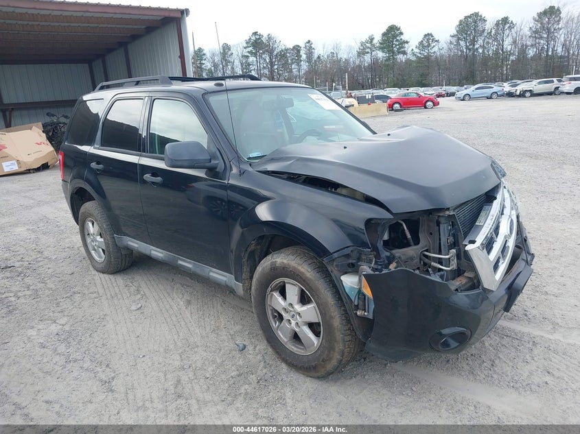 2010 Ford Escape Xlt