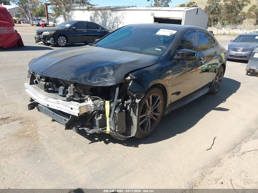 2019 Acura Tlx Tech A-Spec Pkgs