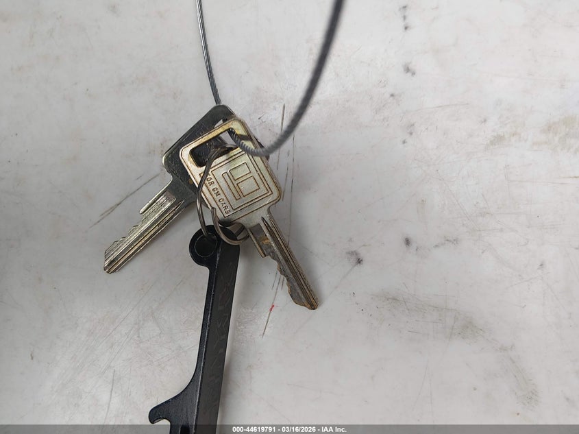 1989 Jeep Wrangler / Yj VIN: 2J4FY19E3KJ137359 Lot: 44619791