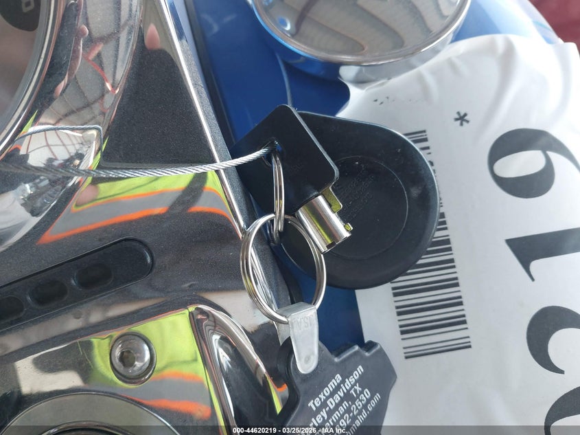 2010 Harley-Davidson Flstse VIN: 1HD1PY919AB950615 Lot: 44620219