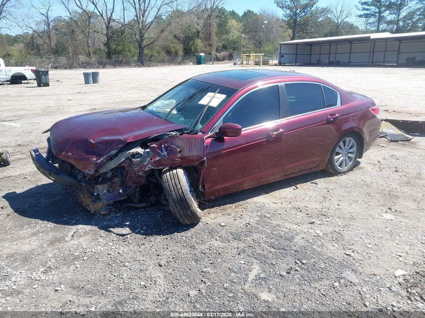 2011 Honda Accord 2.4 Ex-L