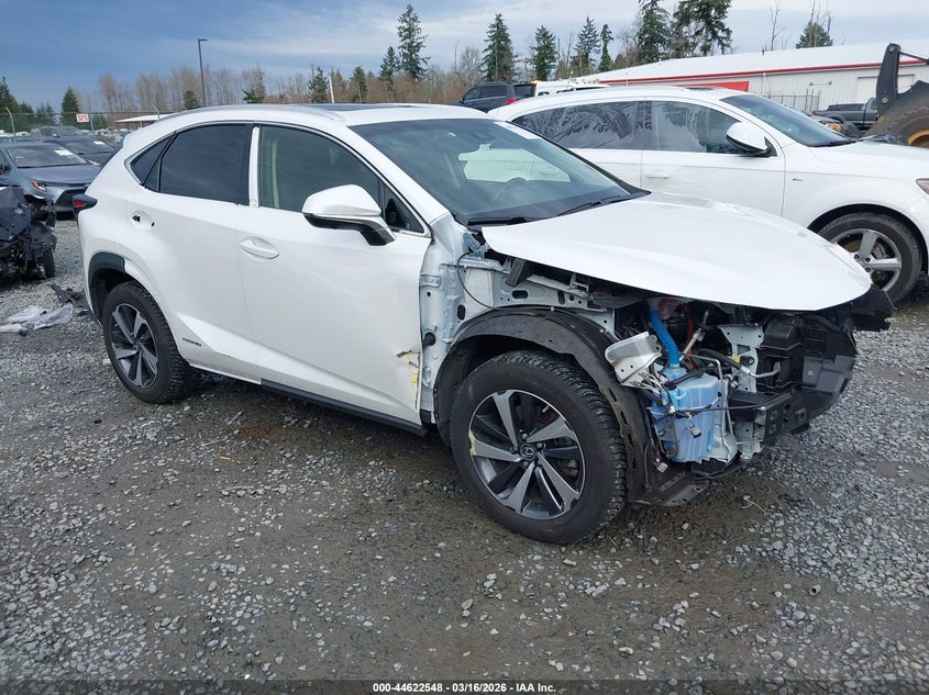2019 Lexus Nx 300H