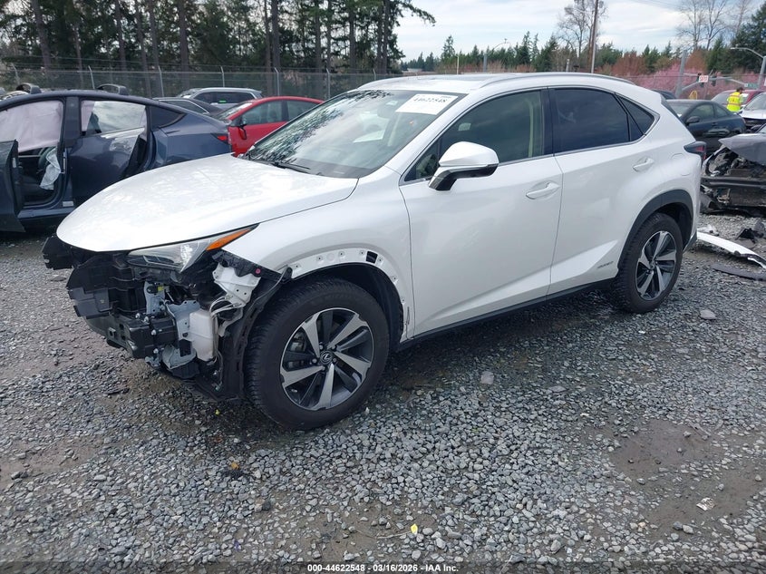 2019 Lexus Nx 300H