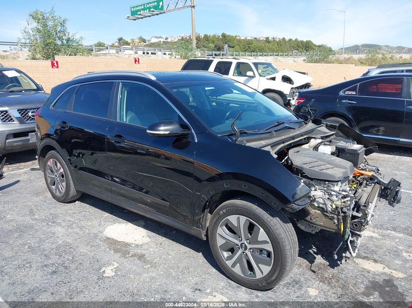 2019 Kia Niro Ev Ex Premium