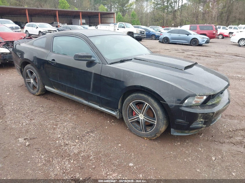 2010 Ford Mustang V6